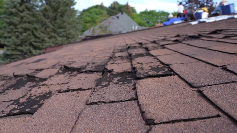 Best Gutter Installation and Repair  in Sunset, LA